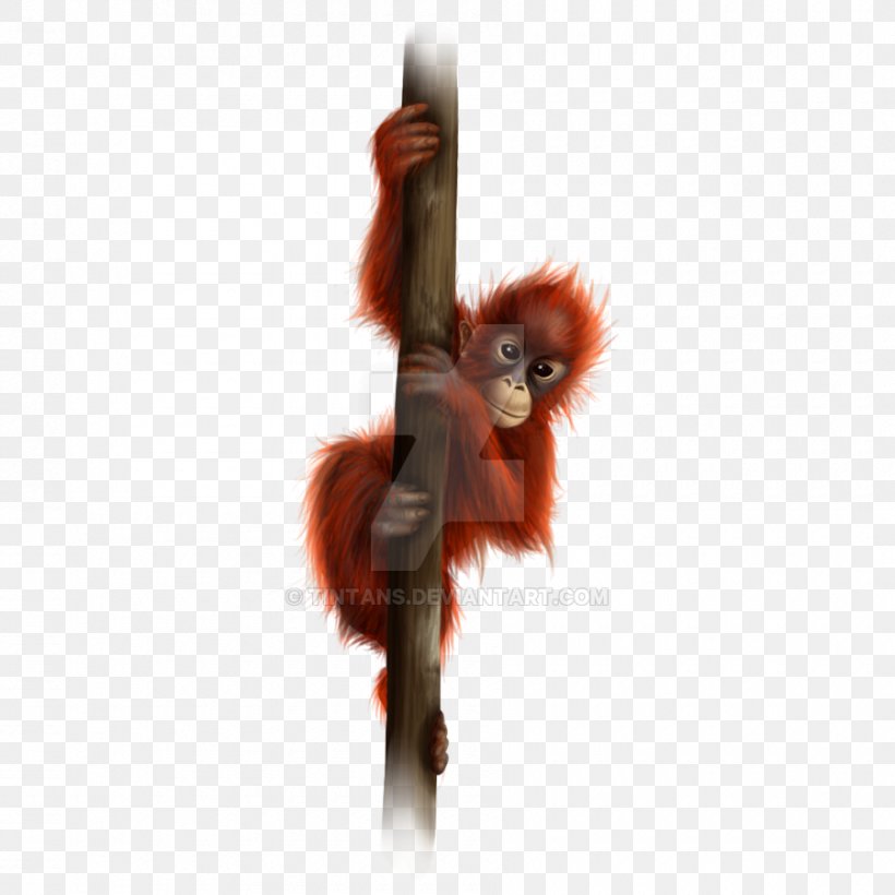 Orangutan Drawing Painting DeviantArt Digital Art, PNG, 900x900px, Orangutan, Animal, Art, Deviantart, Digital Art Download Free