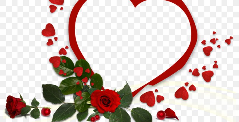 Picture Frames Love Image Photograph, PNG, 800x420px, Picture Frames, Cut Flowers, Day Of Russian Family And Love, Fidelity, Flora Download Free
