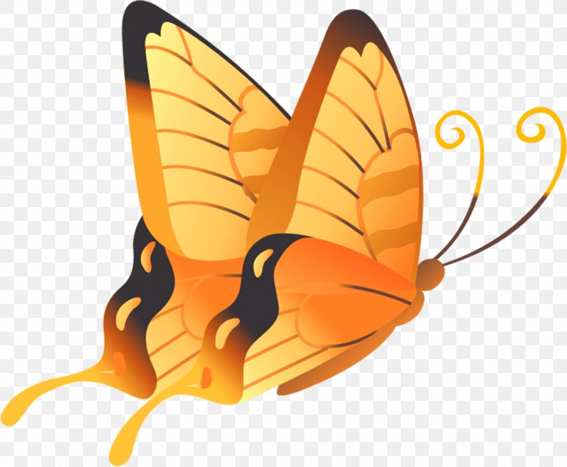 Butterfly Orange Yellow, PNG, 991x817px, Butterfly, Arthropod, Brush Footed Butterfly, Butterflies And Moths, Clipboard Download Free