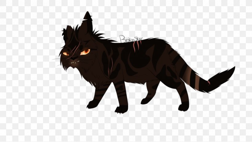 Into The Wild Brokenstar Black Cat Fire And Ice, PNG, 1191x670px, Into The Wild, Black Cat, Brokenstar, Carnivoran, Cat Download Free