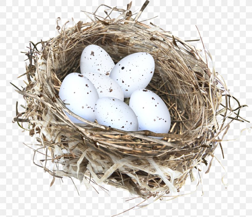 Bird, PNG, 1200x1033px, Bird, Basket, Bird Nest, Egg, Nest Download Free
