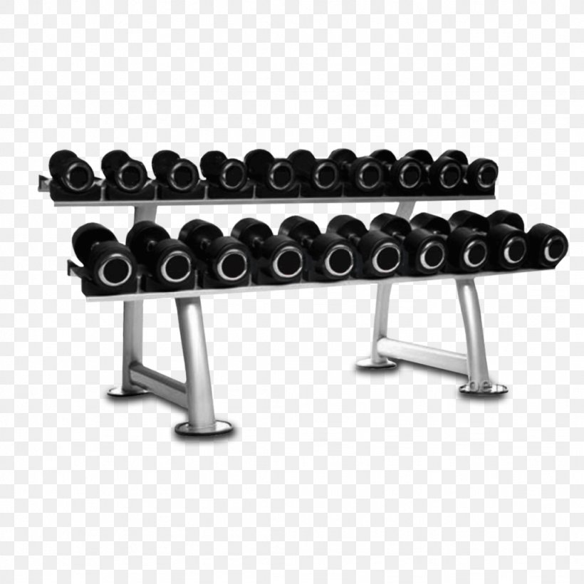 Dumbbell Exercise Equipment Kettlebell Strength Training Weight Training, PNG, 1024x1024px, Dumbbell, Chalk, Exercise Equipment, Horizontal Plane, Kettlebell Download Free