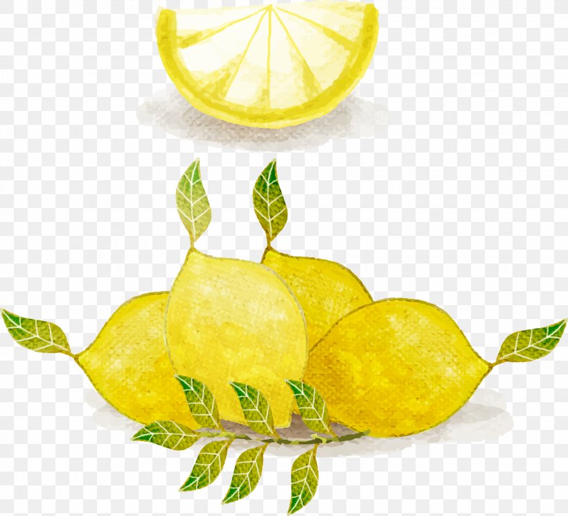 Lemonade Watercolor Painting, PNG, 2246x2038px, Lemonade, Auglis, Citric Acid, Citron, Citrus Download Free