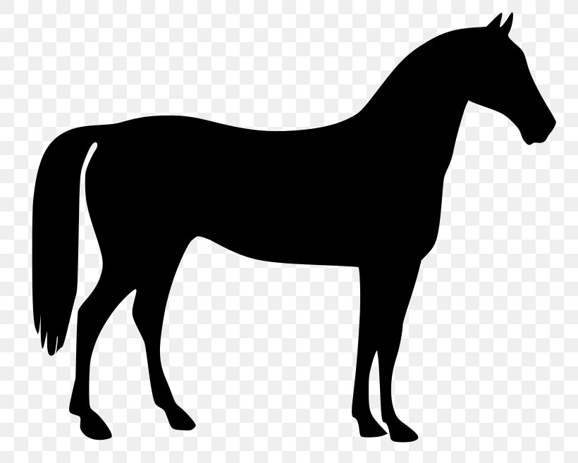 Mustang Stallion Clip Art, PNG, 800x657px, Mustang, Art, Black, Black And White, Bridle Download Free