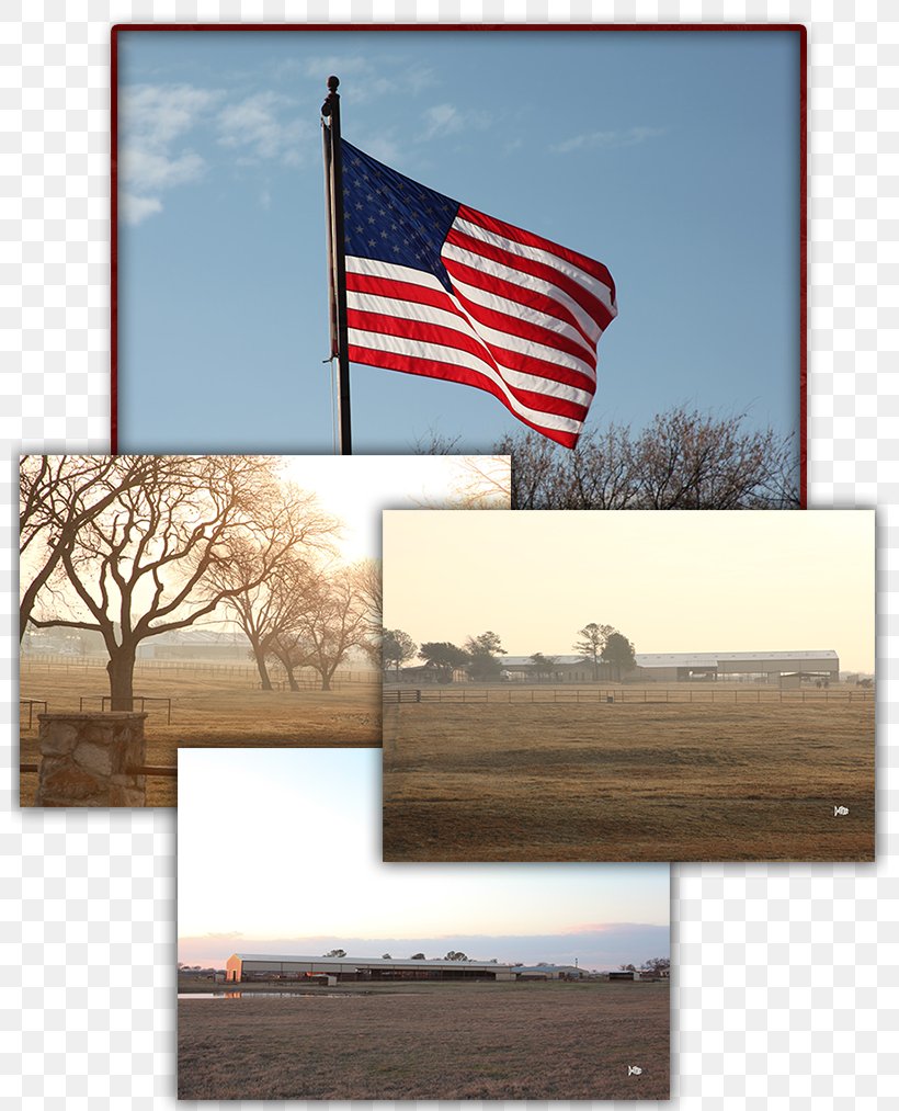 Pilot Point Kull Ranch Horse U.S. Route 377 Stallion, PNG, 800x1013px, Pilot Point, Advertising, Flag, Heart, Home Page Download Free