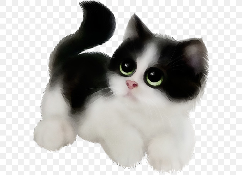 Ragamuffin Munchkin Cat American Wirehair Kitten Domestic Short-haired Cat, PNG, 600x594px, Watercolor, American Wirehair, Cat, Domestic Longhaired Cat, Domestic Shorthaired Cat Download Free