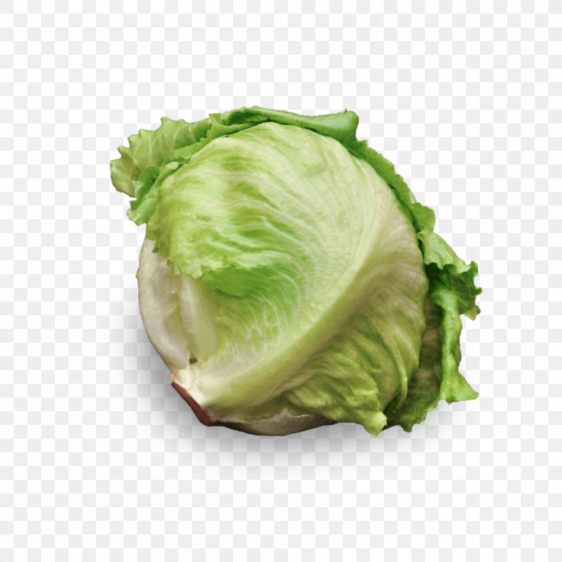 Romaine Lettuce Iceberg Lettuce Cruciferous Vegetables Salad Recipe, PNG, 1000x1000px, Romaine Lettuce, Arugula, Cabbage, Calorie, Cruciferous Vegetables Download Free