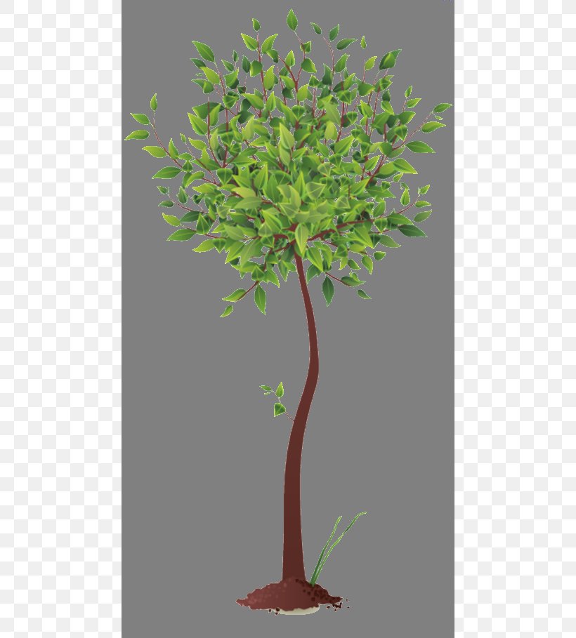 Root Tree, PNG, 474x909px, Root, Branch, Flowerpot, Leaf, Plant Download Free