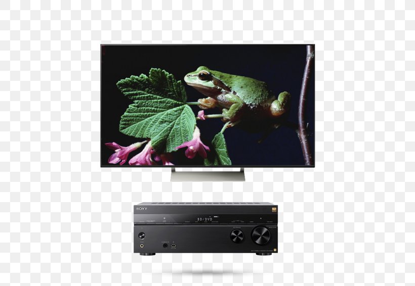 Ultra-high-definition Television 4K Resolution Bravia LED-backlit LCD, PNG, 600x566px, 4k Resolution, Ultrahighdefinition Television, Bravia, Display Device, Electronics Download Free