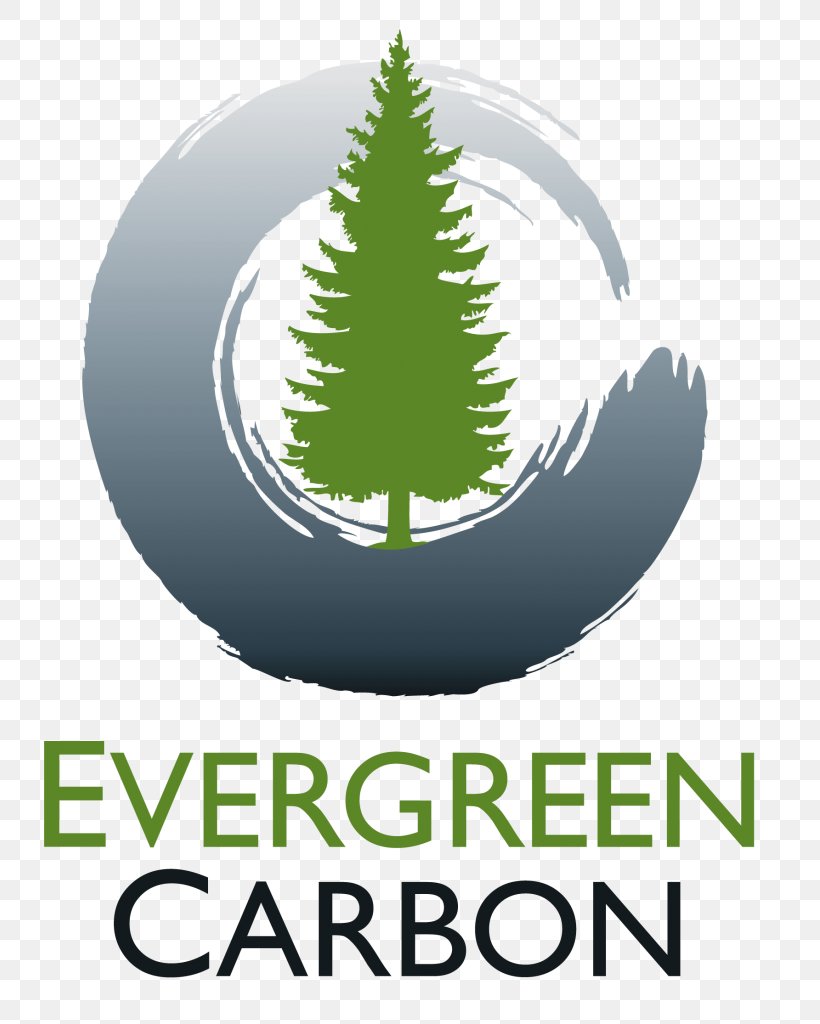 Energy Consulting Business Environmentally Friendly, PNG, 731x1024px, Energy, Brand, Business, Conifer, Energy Consulting Download Free
