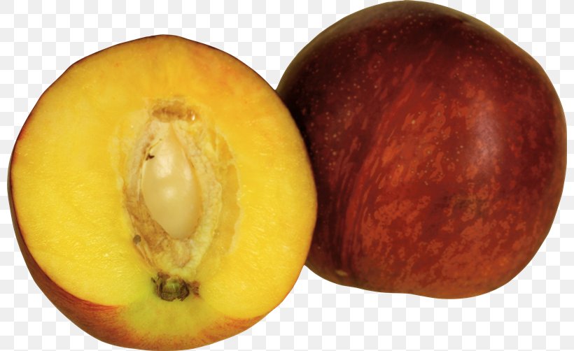 Peach, PNG, 800x502px, Peach, Computer Graphics, Digital Image, Food, Fruit Download Free
