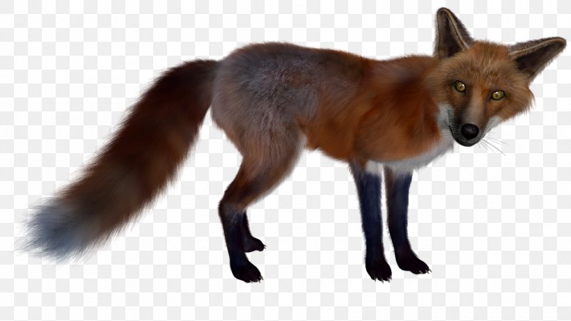 Red Fox Clip Art, PNG, 960x540px, 3d Computer Graphics, Red Fox, Carnivoran, Dog Like Mammal, Drawing Download Free