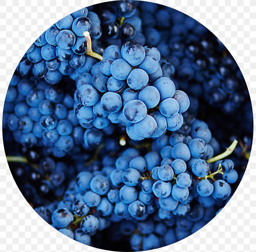 Common Grape Vine Author Wine Zante Currant, PNG, 805x805px, Grape, Author, Berry, Bilberry, Blueberry Download Free