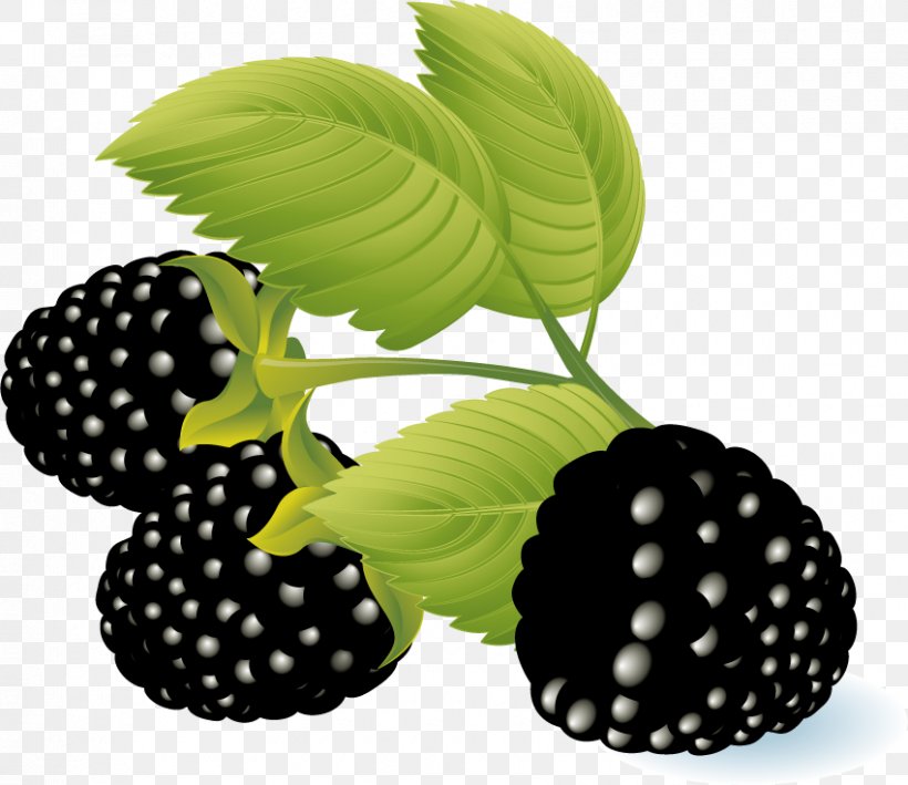 Raspberry Blackberry Clip Art, PNG, 850x735px, Berry, Blackberry, Blueberry, Dewberry, Food Download Free