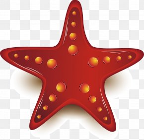 Chinese New Year Festive Element - Starfish Chemical Element PNG