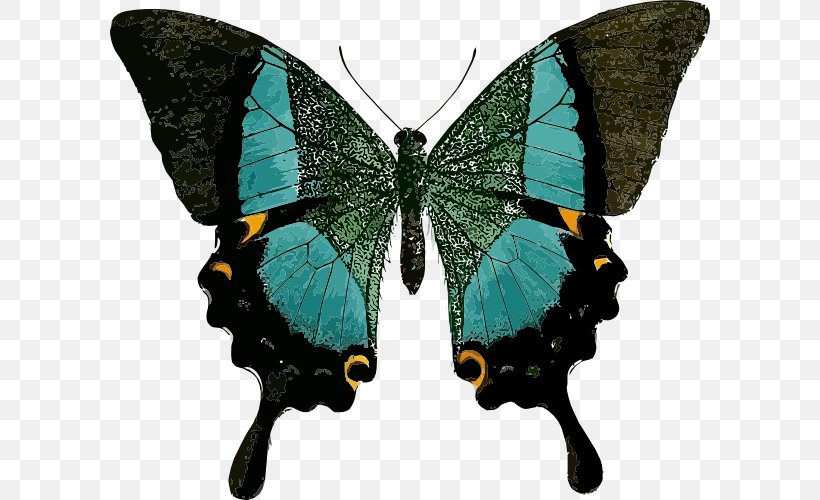 Swallowtail Butterfly Papilio Blumei Papilio Palinurus, PNG, 600x500px, Butterfly, Arthropod, Blue, Brush Footed Butterfly, Butterfly Net Download Free