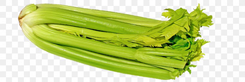 Vegetable Celery Plant Food Leaf Vegetable, PNG, 1280x432px, Vegetable, Celery, Choy Sum, Food, Leaf Vegetable Download Free