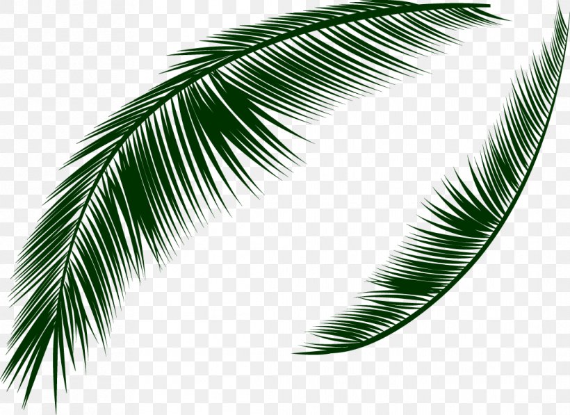 Download Icon, PNG, 1089x793px, Pixel, Arecaceae, Arecales, Feather, Leaf Download Free