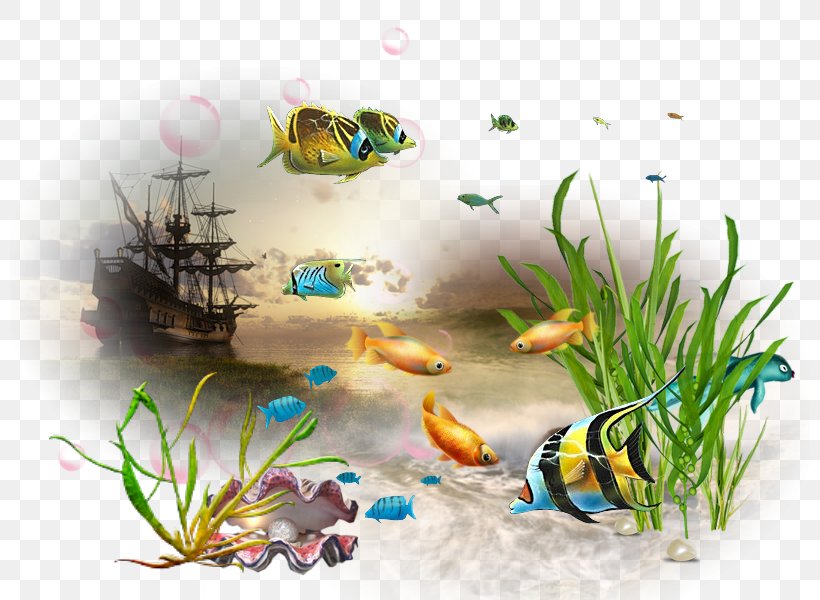 Fish Aquarium Marine Biology Animal, PNG, 800x600px, 1213, 2018, Fish, Animal, April Download Free