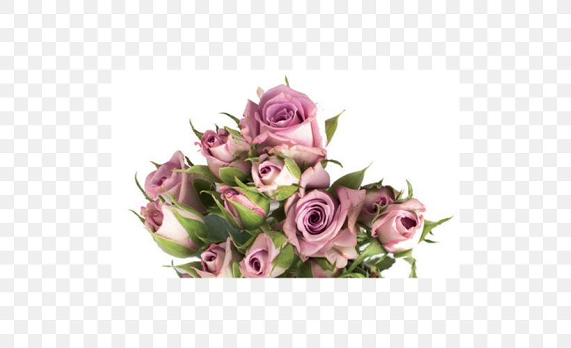 Garden Roses Cabbage Rose Floral Design Cut Flowers Flower Bouquet, PNG, 500x500px, Garden Roses, Cabbage Rose, Cut Flowers, Floral Design, Floristry Download Free