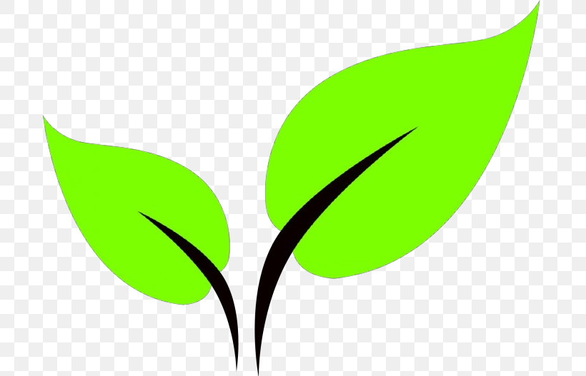 Green Leaf Plant Logo Flower, PNG, 700x527px, Green, Flower, Leaf, Logo, Plant Download Free
