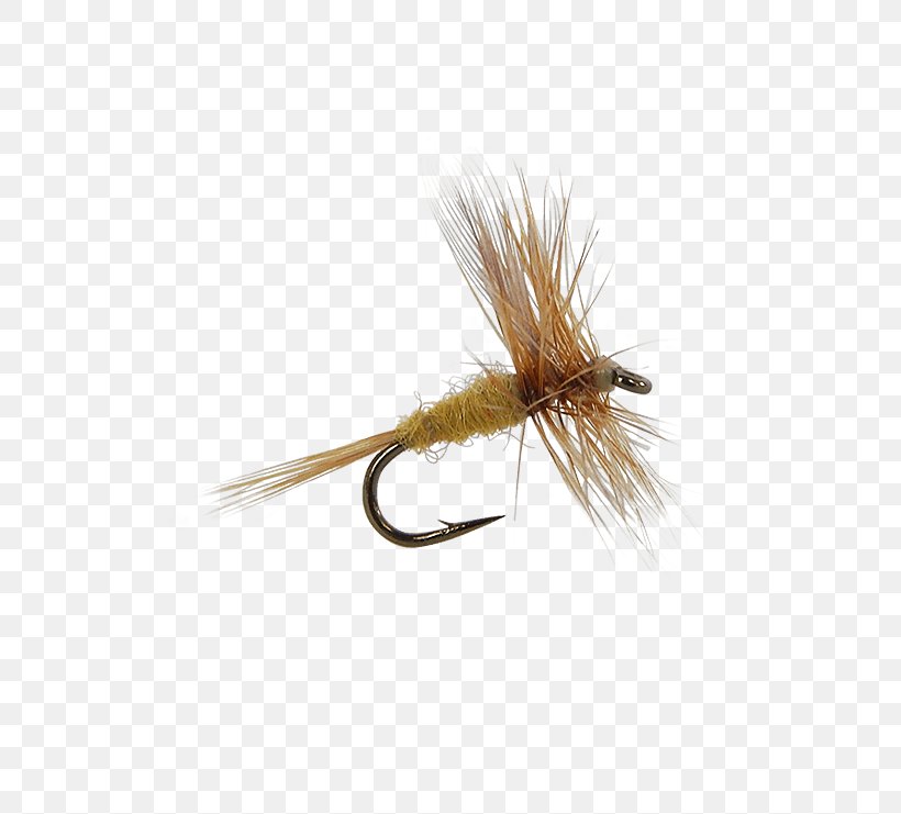 Insect Artificial Fly, PNG, 555x741px, Insect, Artificial Fly, Fishing Bait, Fly, Invertebrate Download Free