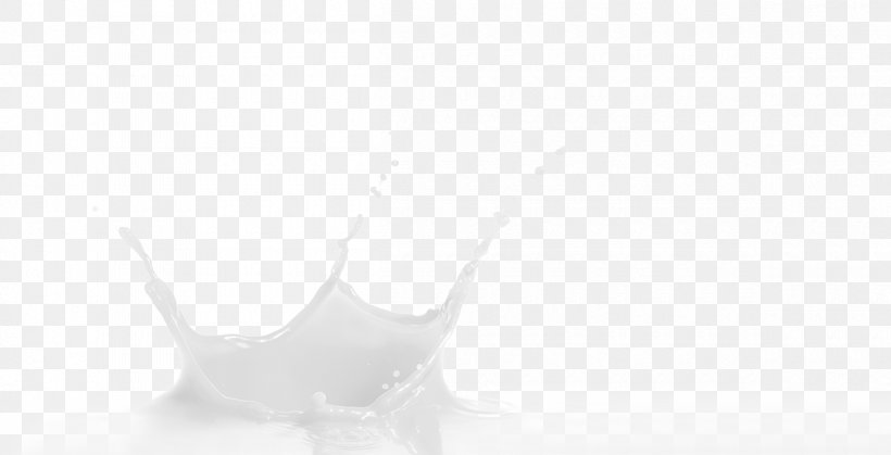 Monochrome Photography White, PNG, 1200x614px, Monochrome, Black And White, Computer, Drinkware, Finger Download Free