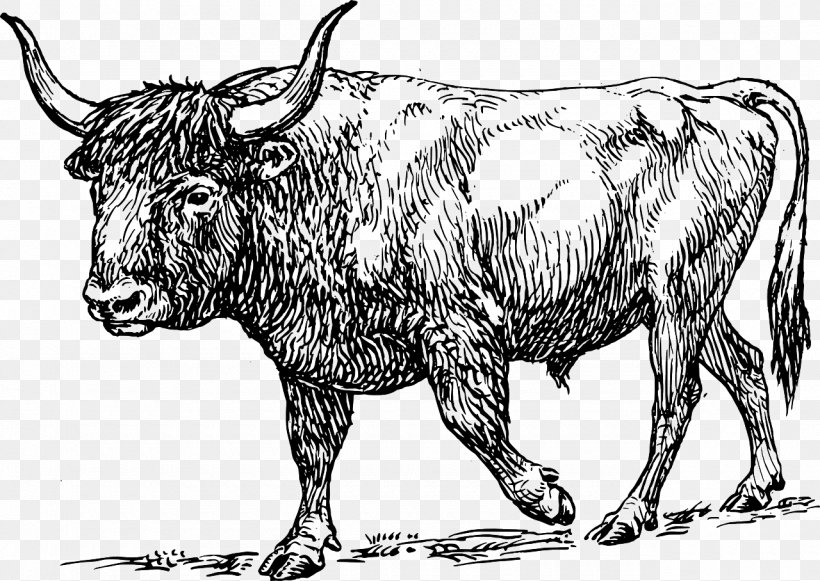 Texas Longhorn English Longhorn Spanish Fighting Bull Aurochs Clip Art, PNG, 1280x908px, Texas Longhorn, Aurochs, Black And White, Bull, Cattle Download Free