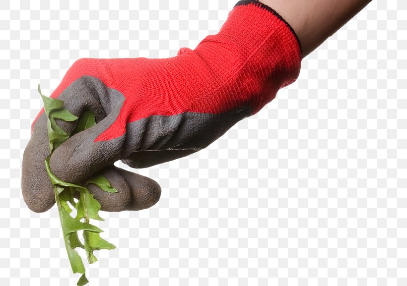 Weed Control Herbicide Lawn Small Business, PNG, 741x577px, Weed, Arm, Business, Finger, Food Download Free