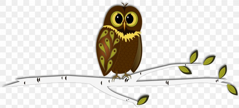 Baby Owls Drawing Owls For Kids Clip Art, PNG, 2921x1325px, Owl, Animal Figure, Baby Owls, Beak, Bird Download Free