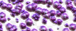 Purple Bacterial Balls - Bacteria Gut Flora Probiotic Microorganism Bifidobacterium PNG