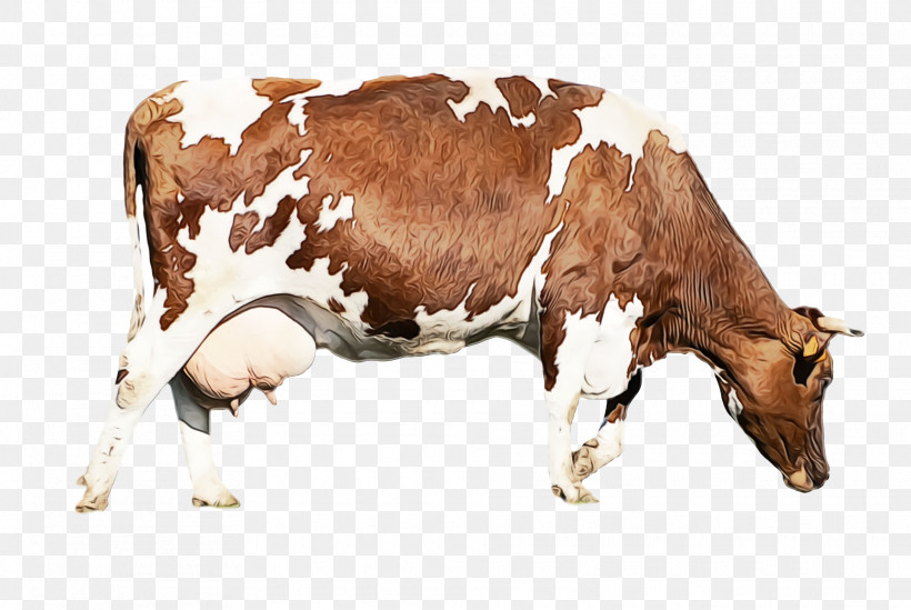 Dairy Cattle Ox Anti-inflammatory Antiparasitic Hormone, PNG, 1920x1286px, Watercolor, Antiinflammatory, Antiparasitic, Biology, Calf Download Free