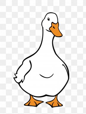 Duck - Duck Goose American Pekin Cygnini Domestic Animal PNG