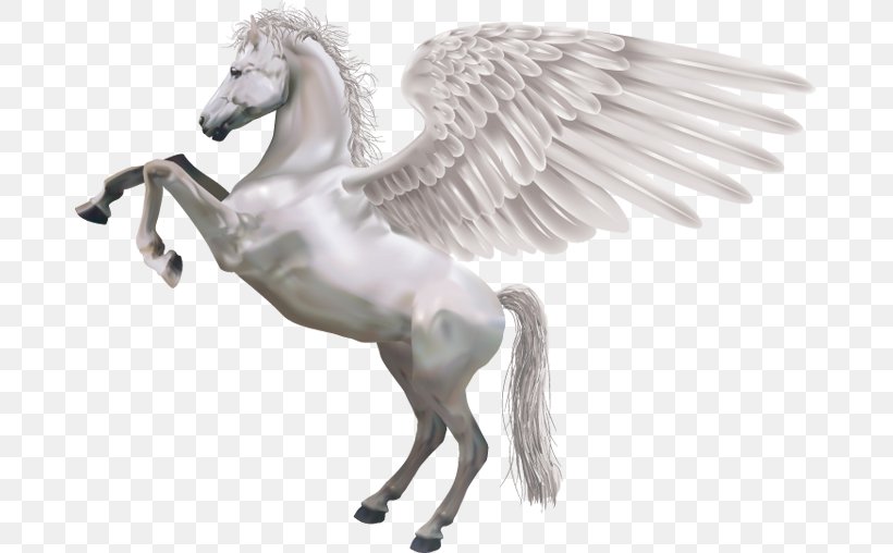 Horse Pegasus Royalty-free Illustration, PNG, 681x508px, Horse, Horse Like Mammal, Livestock, Mane, Mustang Horse Download Free