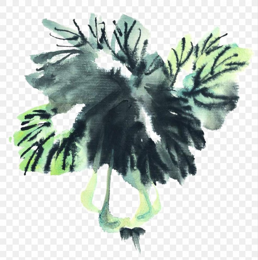 Ink Wash Painting Chinese Cabbage Inkstick Vegetable, PNG, 988x1000px, Ink Wash Painting, Chinese Cabbage, Drawing, Feather, Inkstick Download Free
