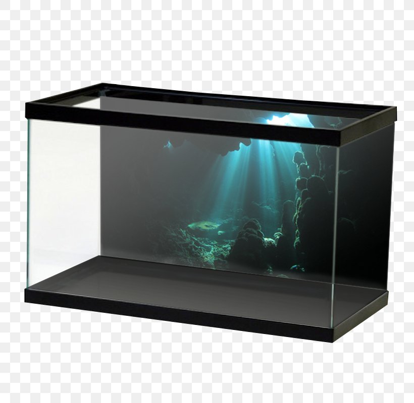 My Fish Tank Aquarium Koi Terrarium Pelvicachromis Pulcher, PNG, 800x800px, Aquarium, Cat Tree, Fish, Glass, Horned Lizard Download Free