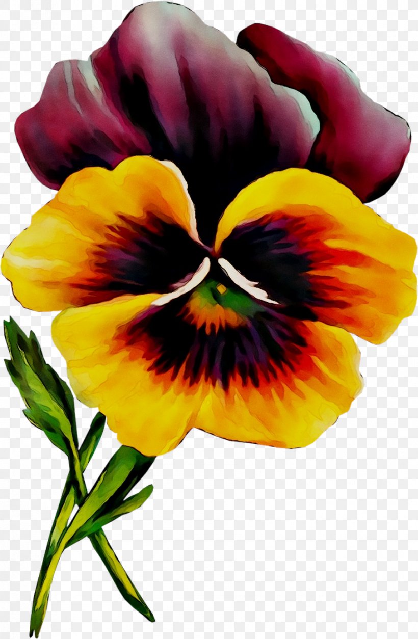 Pansy Clip Art Image Openclipart Free Content, PNG, 905x1385px, Pansy, Annual Plant, Botany, Drawing, Email Download Free