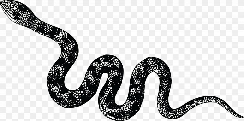 Snake Vipers Cobra Clip Art, PNG, 4000x1981px, Snake, Animal Figure, Black And White, Boa Constrictor, Boas Download Free