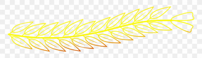 Angle Line Feather Yellow Product Design, PNG, 3100x900px, Feather, Yellow Download Free