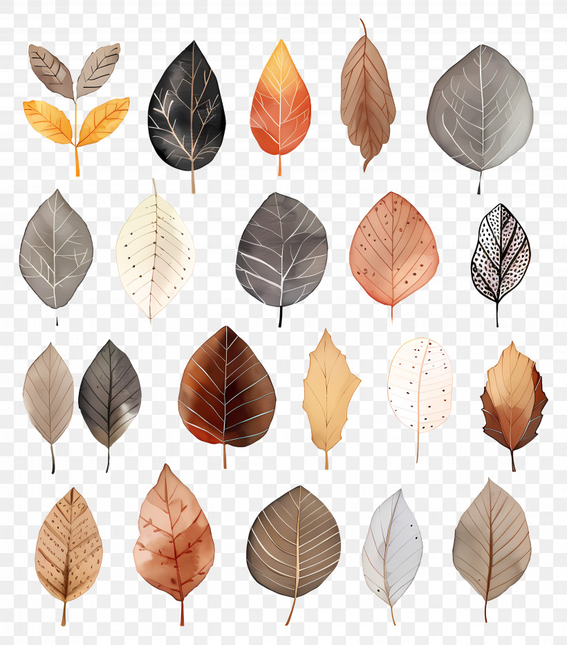 Dead Leaves - Decorative Watercolor Autumn Leaves Illustration PNG