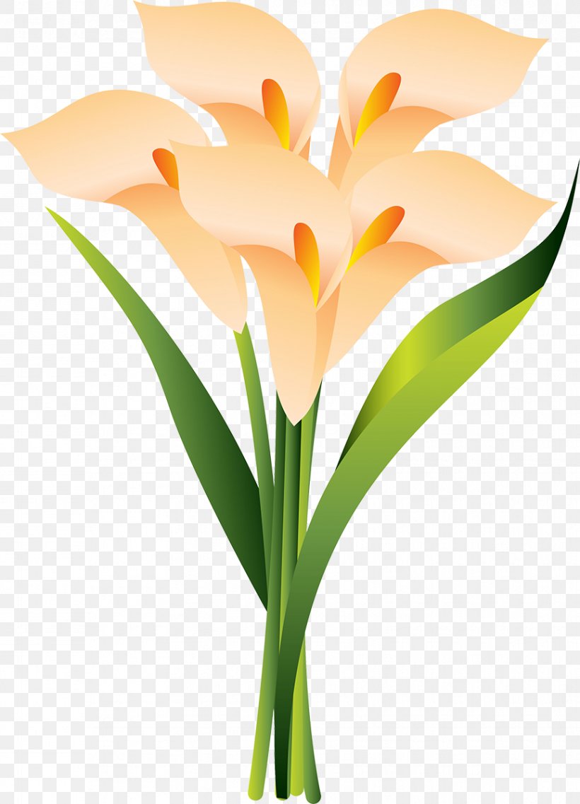 Floral Design Cut Flowers Plant Stem Flowerpot Clip Art, PNG, 865x1200px, Floral Design, Arum, Cut Flowers, Floristry, Flower Download Free