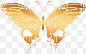 Butterfly - Monarch Butterfly Moth Nymphalidae Insect PNG