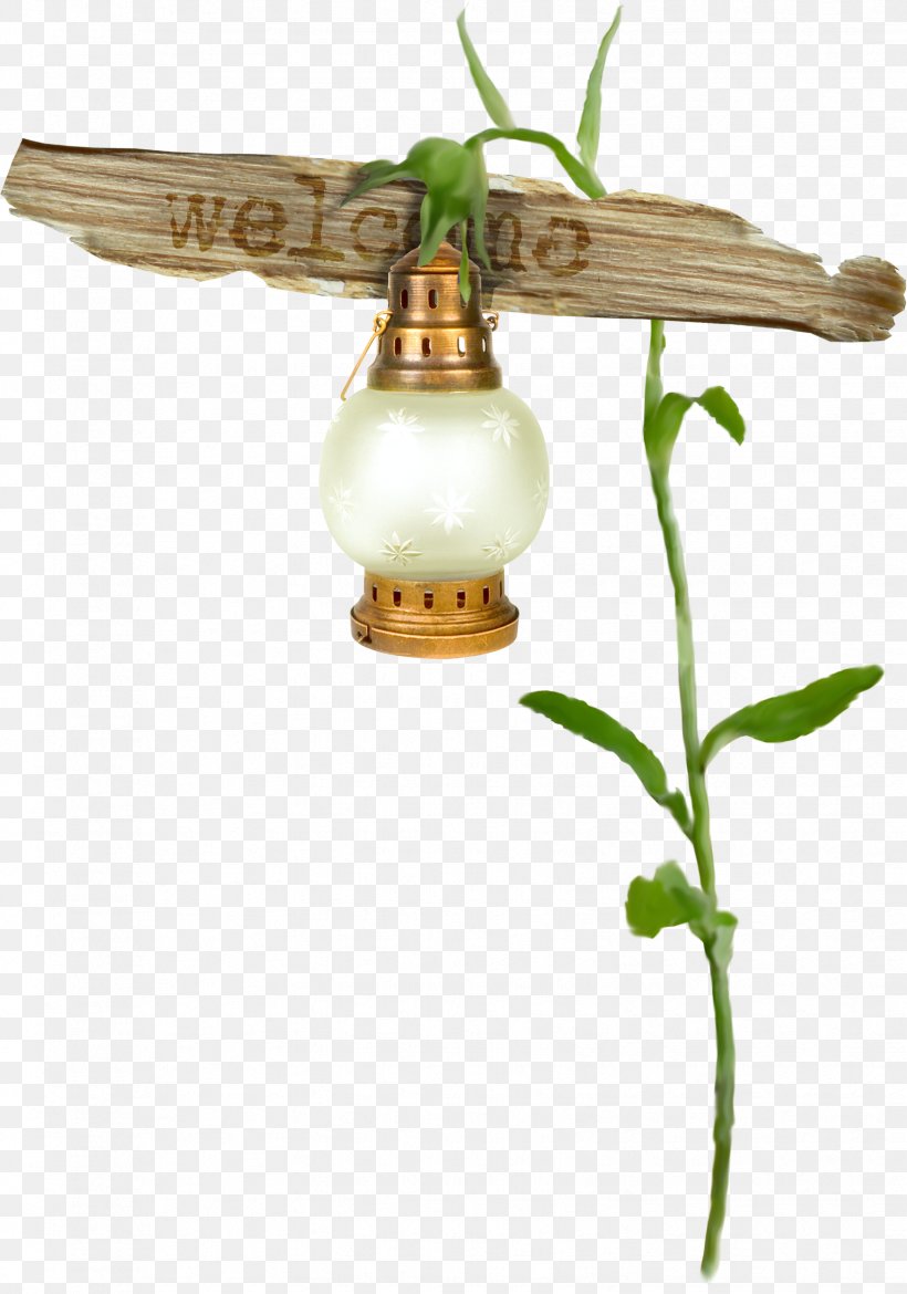 Oil Lamp Street Light Light Fixture Lantern, PNG, 1649x2354px, Oil Lamp, Incandescent Light Bulb, Insect, Invertebrate, Lamp Download Free