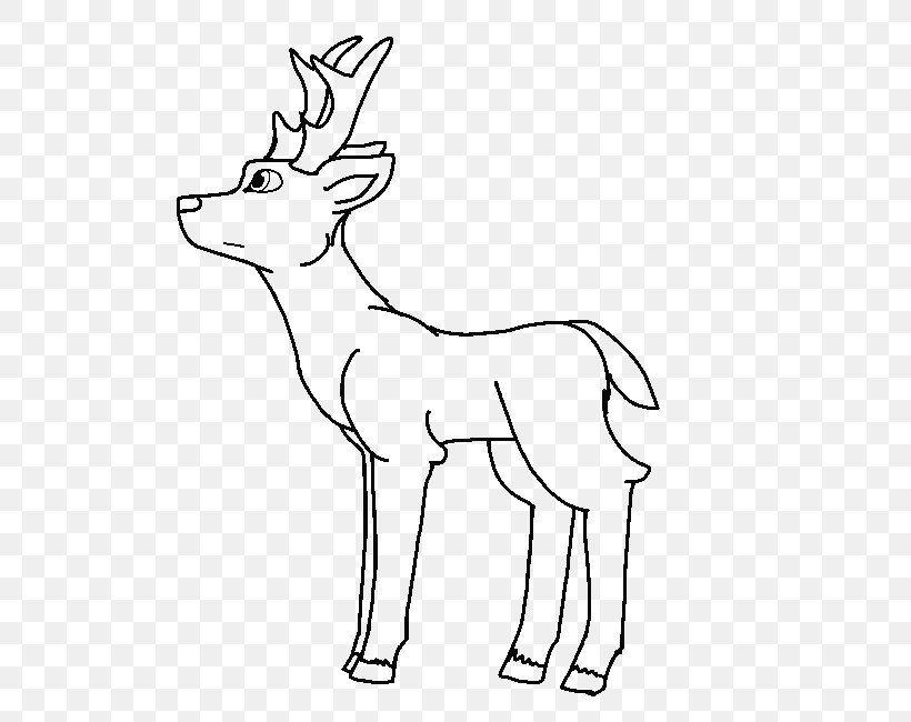 Reindeer Line Art Red Deer Elk Png 567x650px Reindeer Animal Figure Antler Black And White Coloring