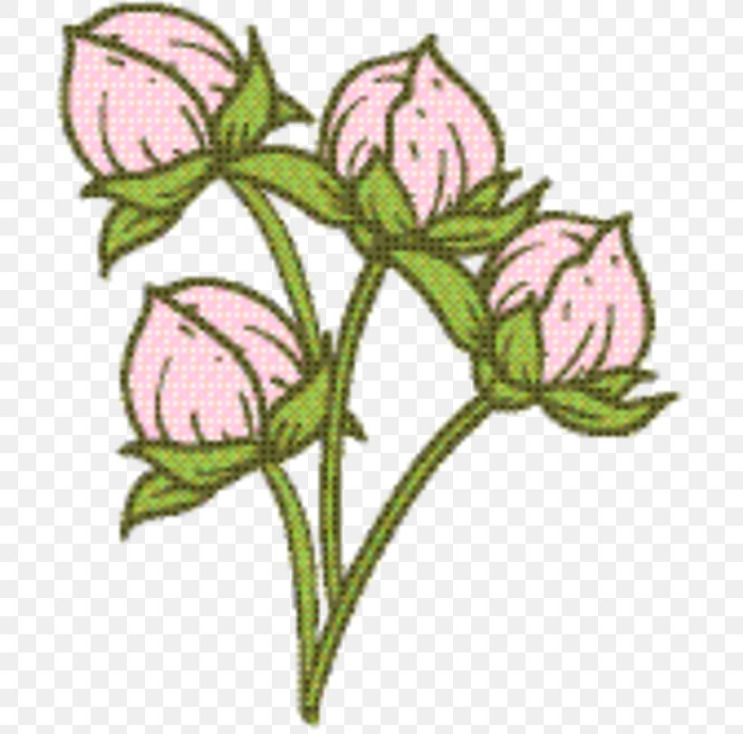 Rose Petal, PNG, 708x810px, Rose Family, Bellflower, Bellflower Family, Flower, Herbaceous Plant Download Free