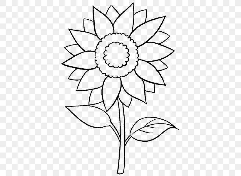 sunflower outline drawing