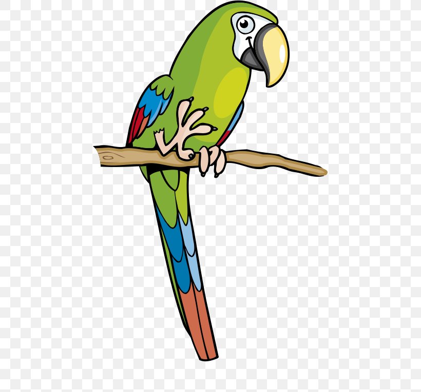 Amazon Parrot Macaw Parakeet Clip Art, PNG, 591x765px, Parrot, Amazon Parrot, Animation, Beak, Bird Download Free