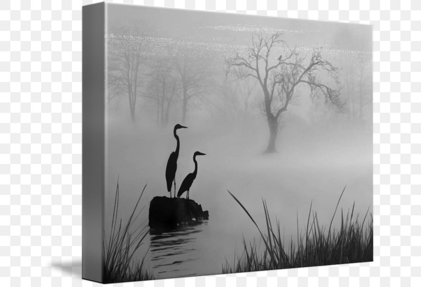 Canvas Print Art Printing, PNG, 650x560px, Canvas Print, Acrylic Paint, Art, Bird, Black And White Download Free