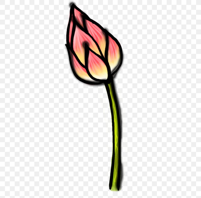 Clip Art, PNG, 450x808px, Tulip, Cut Flowers, Flower, Flowering Plant, Leaf Download Free