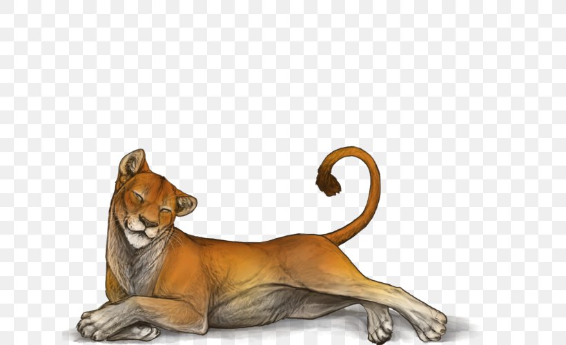 Cougar Dog Big Cat Terrestrial Animal, PNG, 640x500px, Cougar, Animal, Big Cat, Big Cats, Canidae Download Free